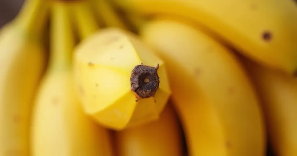 Banana Prompt XYZ: A Revolução para Imagens de IA em 2026